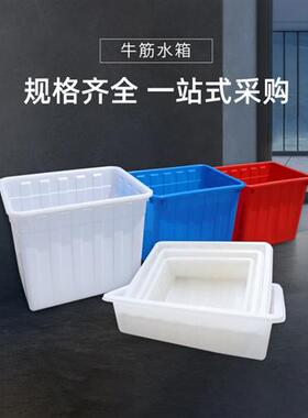 专用养鱼水箱大型加厚牛筋水箱塑料长方形卖鱼养鱼V水产养殖家用
