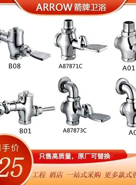 大便冲洗阀A87873C/B08/A01/A04/B01蹲便脚踏R/手按大便冲水延时