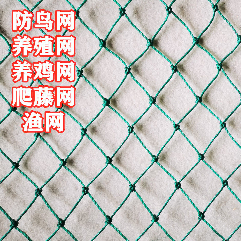 塑料养殖网养鸡网围栏网护栏网山鸡网防鸟网防护网渔网尼龙网米高