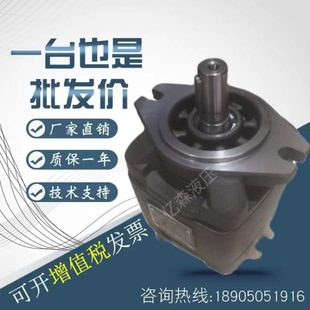 海特克注塑机伺服泵HG0 01R VPC