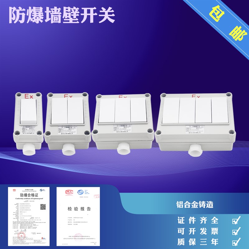 防爆墙壁开关 照明开关 转换开关 防爆开关BQM-1开2开3开双控防水