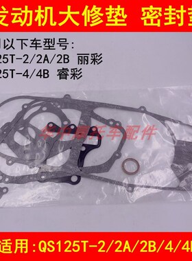 适配铃木丽彩睿彩QS125T-2A/2B/4B踏板摩托车发动机全车垫大修垫