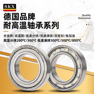 6208 6209 X29 6206 VA201 6207 6211 德国SKX耐高温轴承 6210