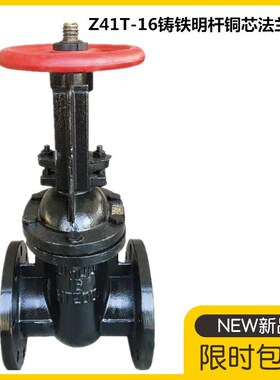Z41T-16/10明杆法兰闸阀 铸铁铜芯闸板阀DN40 65 80 100 150 200