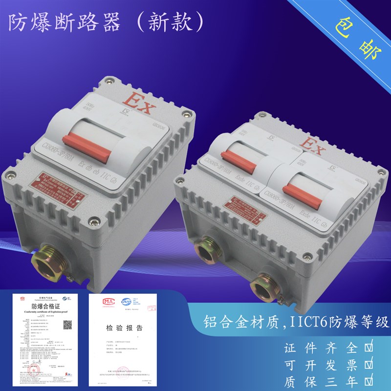 防爆断路器 回路箱 1P 2P 3P 63A DLK52系列防爆新型一体式断路器