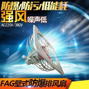 防爆排风扇 400 防爆换气扇 300 防爆排风机铜线 FAG 防爆风机