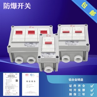 照明开关回路开关BZP30 开关 20A 防爆断路器 防爆空开