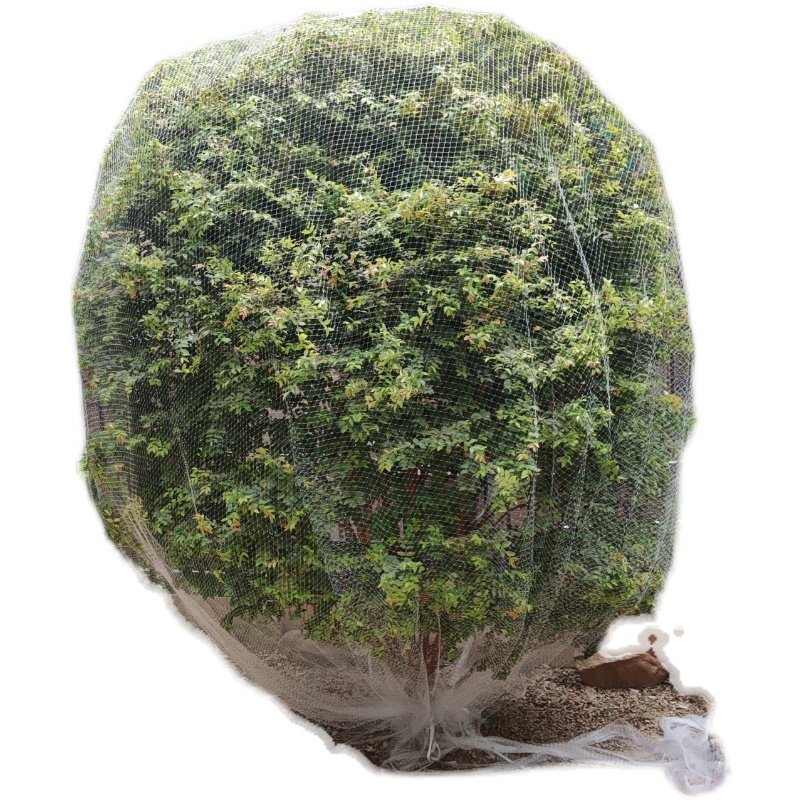 果树防鸟网罩无花果樱桃网防鸟用的网果园尼龙纱网防护罩葡萄蔬菜