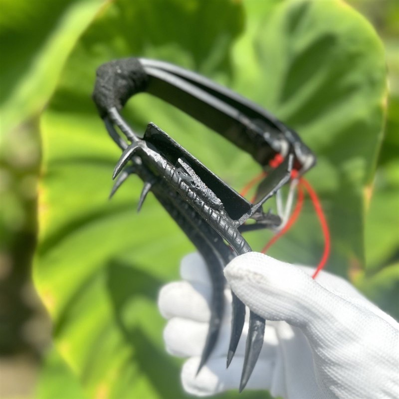 神器脚扎子猫爪新款n爬树六爪猫爪上树螺纹钢工具淬火加宽防滑