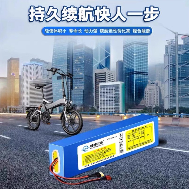 电动车锂电池48V10a12a滑板车36V喜德盛I电瓶车60V15a希洛普锂电