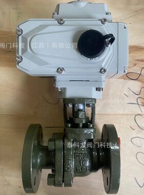 Q941F46-16C 电动法兰钢衬四氟球阀  DN15 20 25 32 40 50 65 80