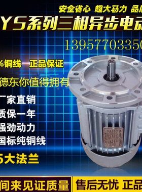 铜线国标德东三相异步电动机YS6334/380V/0.25KW/转速/1400r/min