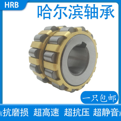 进口摇摆减速机专用RN205整体偏心轴承套309轮凸轮偏心轴承RN307