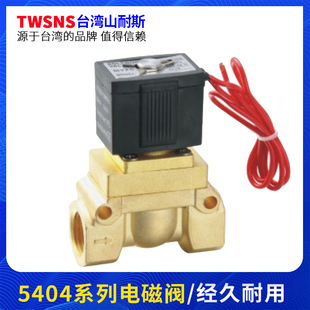 气阀 山耐斯5404 08高压电磁阀 蒸汽阀AC220V开关阀 系列