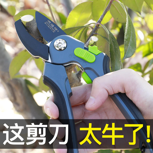 修剪树枝剪刀剪枝剪刀果树剪刀剪花枝园艺剪刀修花修枝果枝剪省力