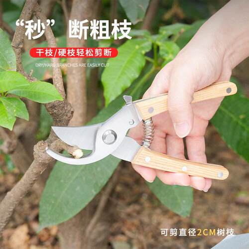 木柄枝剪园艺剪树枝果树果枝修枝剪花剪园林花艺省力粗枝剪子