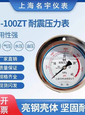 YN100ZT轴向卧式带边耐震压力表水压油压液压防震16/16/25MPA40