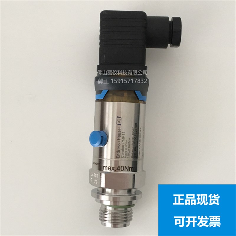E+H 压力变送器PMP11-AA1U1QBWJJ, PMP11-1380/0,PMP21,PMC11