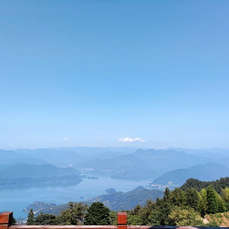铰刀铣刀丝锥麻花钻头螺纹塞规环规整体合金钨钢刀具非标定做
