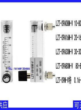 MBLD流量计 余姚银环LZT-0806M-V LZT-09A16M-V LZT-09A80M-V