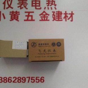 2001 XMTA 2002 上海飞龙仪表 XMTD 分度号E Pt100 数字显示