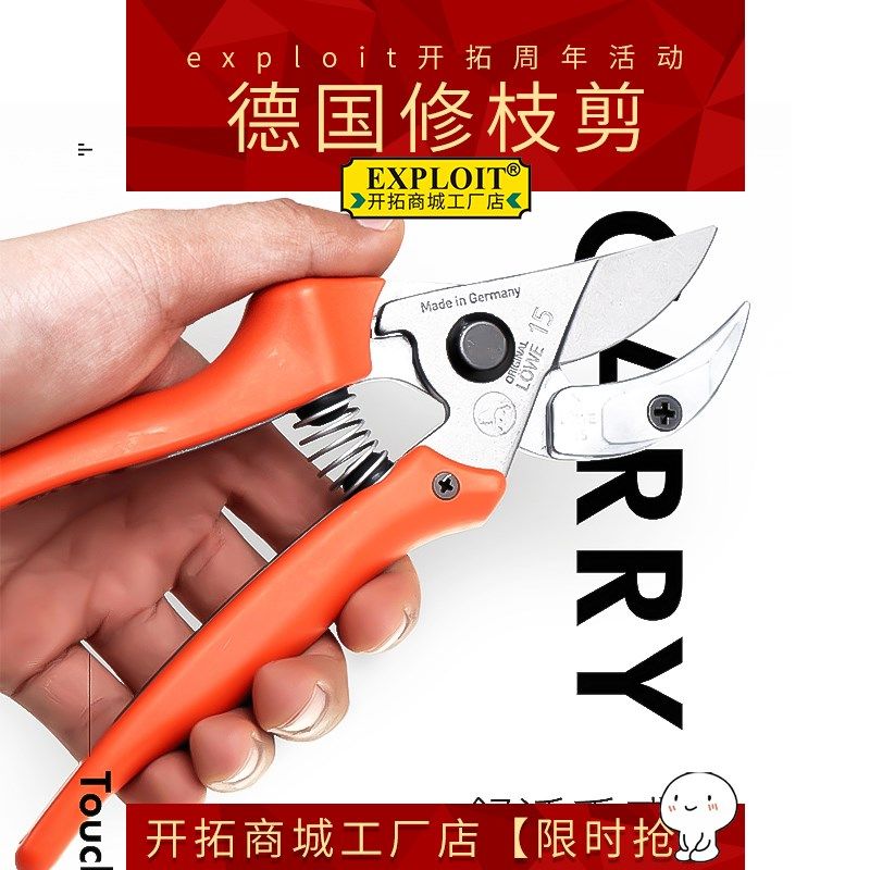 剪树枝专用剪刀台湾进口园艺剪修枝剪修剪树枝剪花园林木花艺剪刀