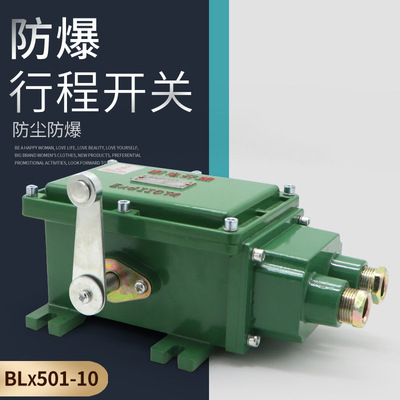 隔爆型行程开关BLX50110  防爆行车大车行走限位开关Exd11GT4