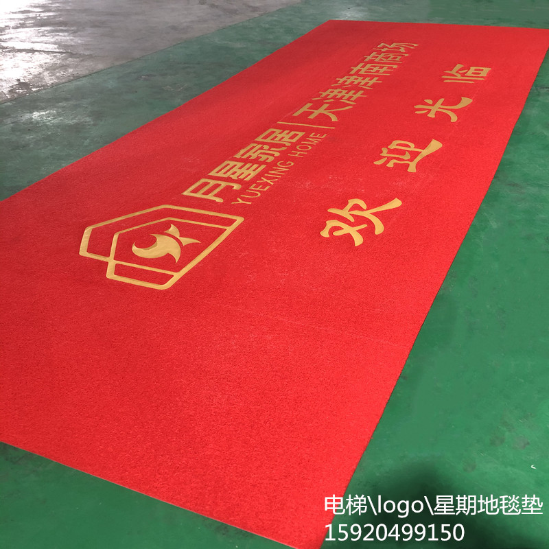 大门口大面积门垫丝圈商用广告地毯迎宾星期地垫