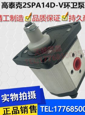 2SPA14D-V 2SP140 2SPA16D-V高泰克环卫垃圾压缩箱垃圾站齿轮油泵