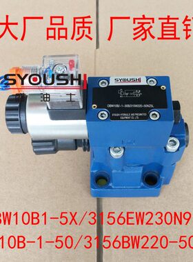 溢流阀DBW10B-1-50/3156BW220-50Z5L,DBW10B1-5X/3156EW230N9K4