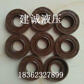 B2.5 油封齿轮泵CB B10橡胶密封圈 耐高温腐蚀配件