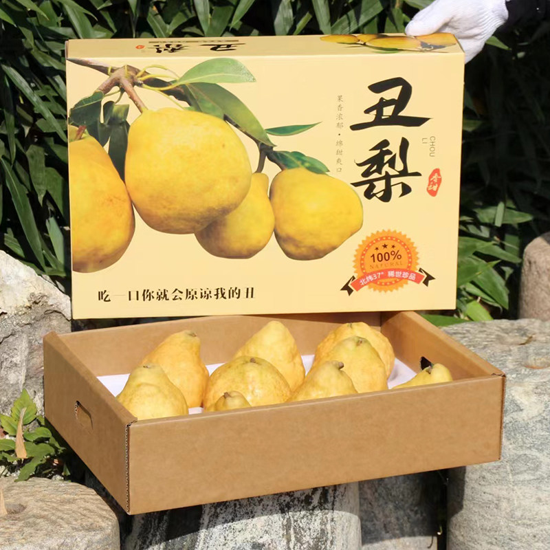 正宗山东烟台太婆丑梨新鲜水果当季中华丑梨软糯香甜啤梨整箱包邮
