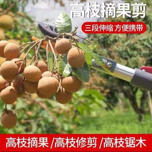 高枝剪摘果神器高空采摘果剪摘果器枇杷龙眼树枝果树剪伸缩高空剪
