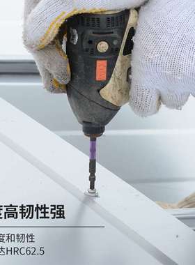 ANEX安力士进口ABRS黑色龙型批头十字PH2带磁耐冲击40V风批嘴咀