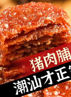 潮汕猪肉脯独立包装网红零食