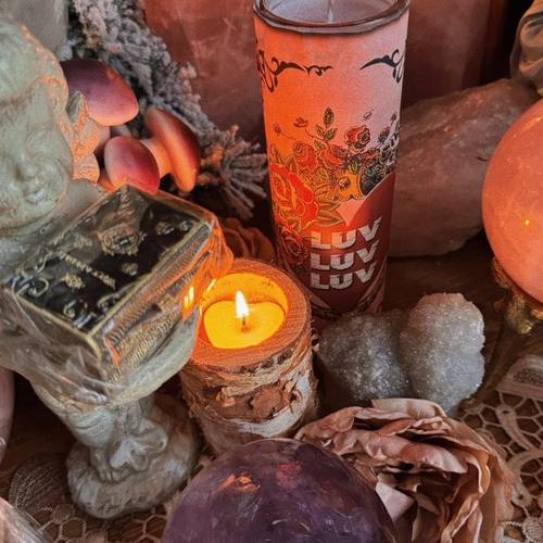 墨西哥北美 vd系列重磅回归 少量现货