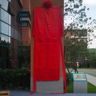 揭幕红布开业揭牌仪式牌匾大花球球剪彩道具开业红绸布定制装饰布