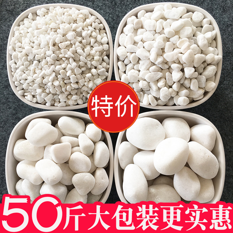40斤白色石子景观石头大小鹅卵石庭院铺路K铺地阳台花园白石子造