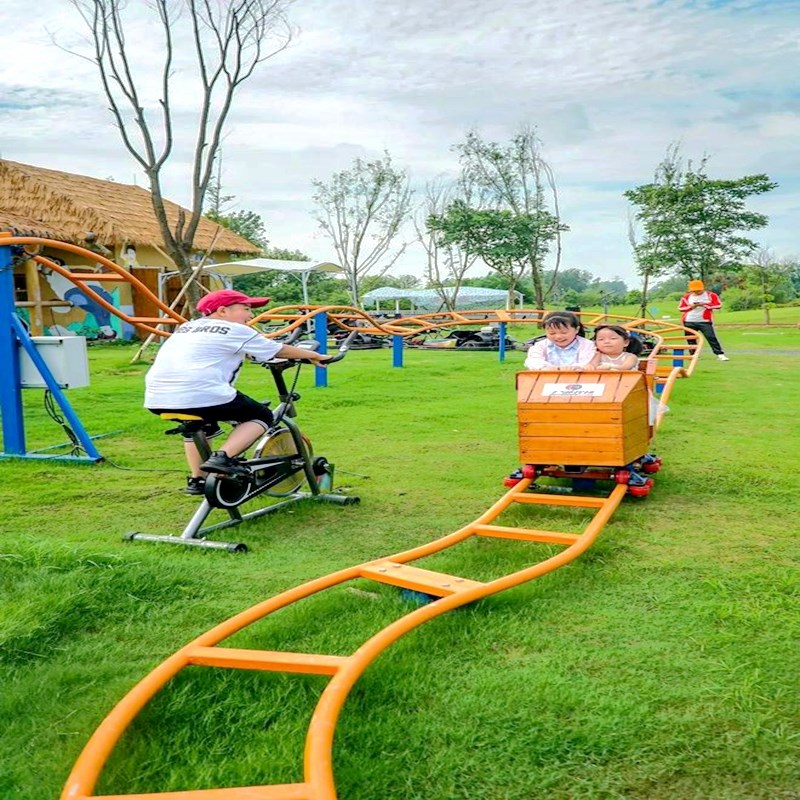 网红坑爹过山车亲子乐园互动人力脚蹬F轨道火车户外无动力游乐设