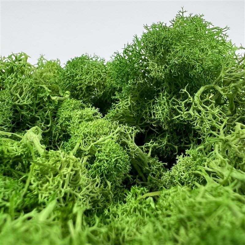 地衣仿真灌木丛兵人建筑沙盘场景观模型树草丛绿化地台模型荆棘团,农机/农具/农膜,排灌设备,淘宝优惠券,粉丝福利购,淘宝优惠卷