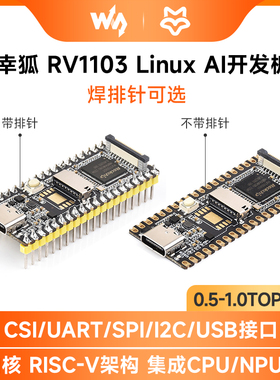 微雪 Luckfox Pico 幸狐RV1103 Linux开发板 RISC-V 人工智能应用
