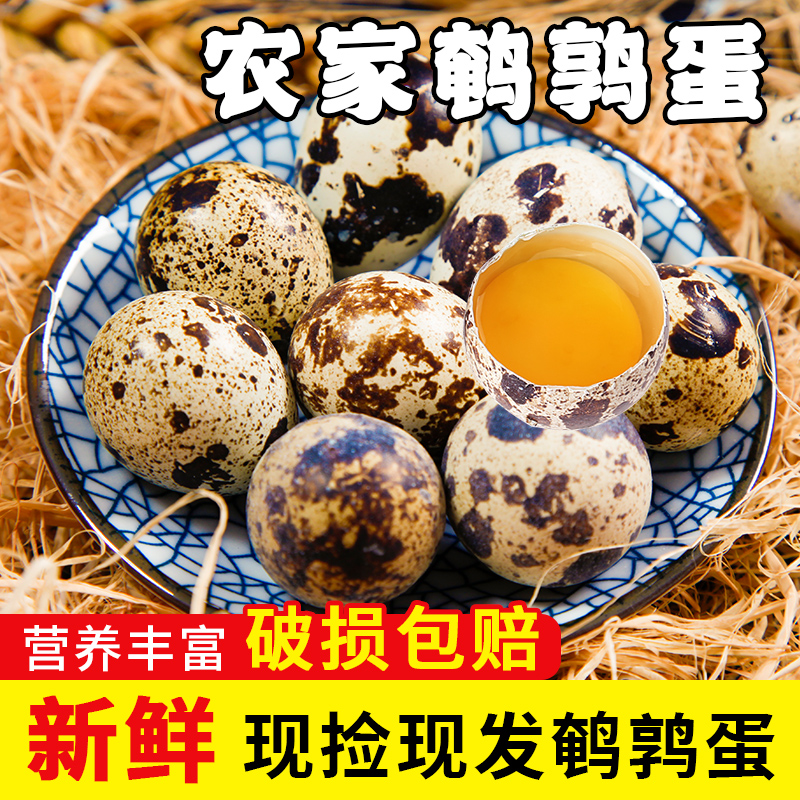鹌鹑蛋新鲜50枚鹌鹑蛋正宗农家散养清水火锅麻辣烫食材