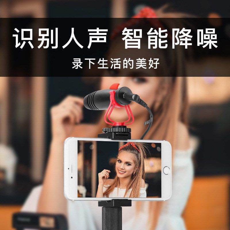 直播设备全套 摄影单反相机话筒C迷你降噪采访录音手机直播麦克风