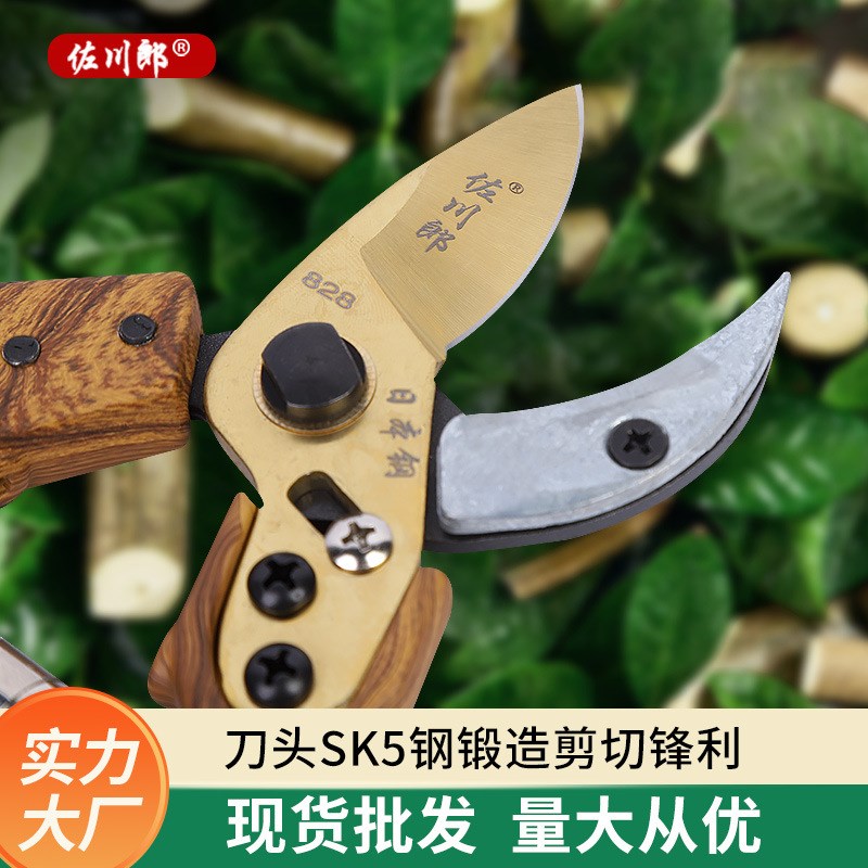 厂家SKb5钢材果枝剪修枝剪 手动园艺工具园林剪果树花木粗枝剪