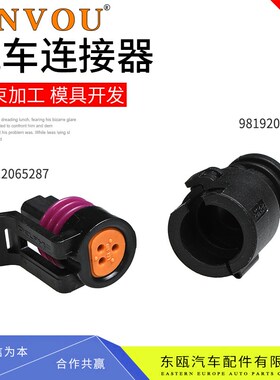 12065287汽车节气门传感器插头9819203插接器DJ7034Y-1.5-21尾夹