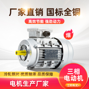1.5 750 3KW铝壳异步2800转B14高速380V 370 三相交流电动机YS立式