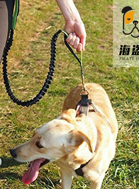 泰迪金毛遛狗训练绳跑步带牵引绳套装大中小型犬狗绳加固狗链子
