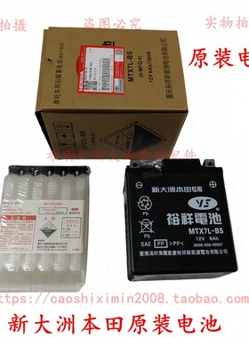 新大洲本田摩托配件125TE彩E影茜茜公主飞梦魔戟DIO电瓶原装电瓶