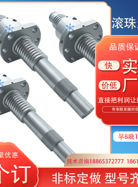 滚珠丝杠BTK2020V 2505V 2510V/BLK1510 1616 2020 3232 3210定制