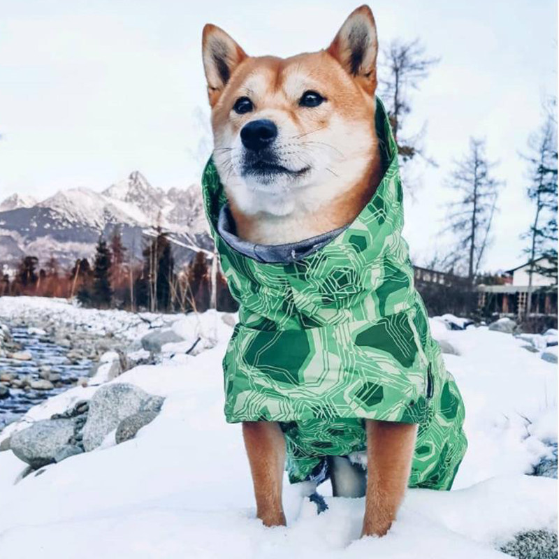 边牧防水棉衣中大型犬户外防风雪加厚滑雪服金毛护脖防寒秋冬夹袄
